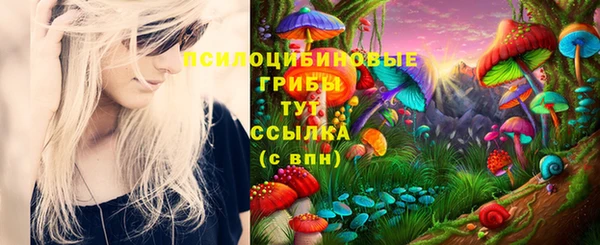 индика Армянск