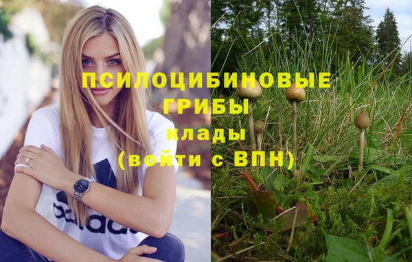 прущий лед Арсеньев