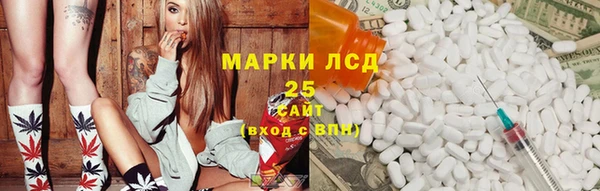 индика Армянск