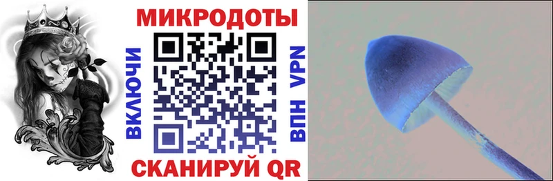 Галлюциногенные грибы Cubensis  Саров 